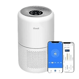 Portable Air Purifier